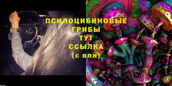 альфа пвп Заводоуковск