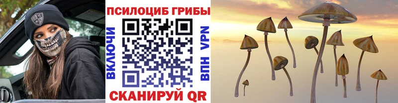 Купить  Отрадное  Галлюциногенные грибы GOLDEN TEACHER 